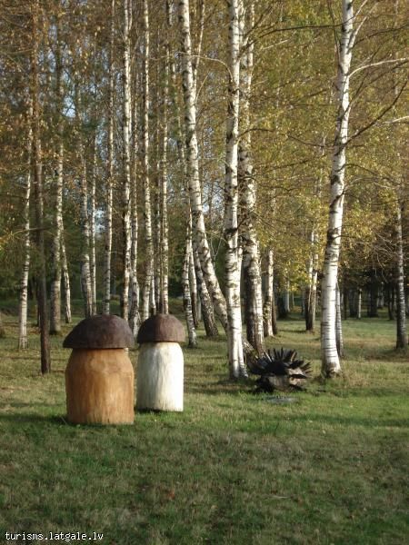 Atputas-vieta Atpūtas vieta