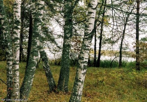 Upurakmens-Rusonu-ezera-Upursala Upurakmens Rušonu ezera Upursalā
