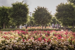 Atpūtas un ceļojumu piedāvājumi 14.06.2025 - 21.06.2025 Tiksimies Rožu laukumā! Liepājas reģiona TIB