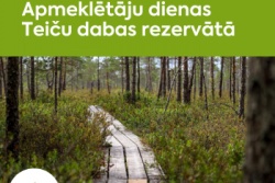 Atpūtas un ceļojumu piedāvājumi 06.06.2026 - 11.06.2026 Apmeklētāju dienas Teiču dabas rezervātā Madonas TIC