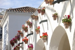 Malaga. Agrā izpārdošana Estravel Latvia