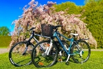 Iepazīsti Salaspili ar velosipēdu – pieejama velonoma un tūrisma maršruti